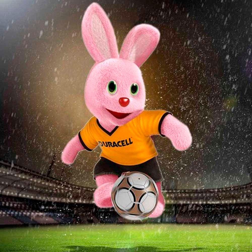Pilha Alcalina AAA Palito com 2 Unidades - Duracell