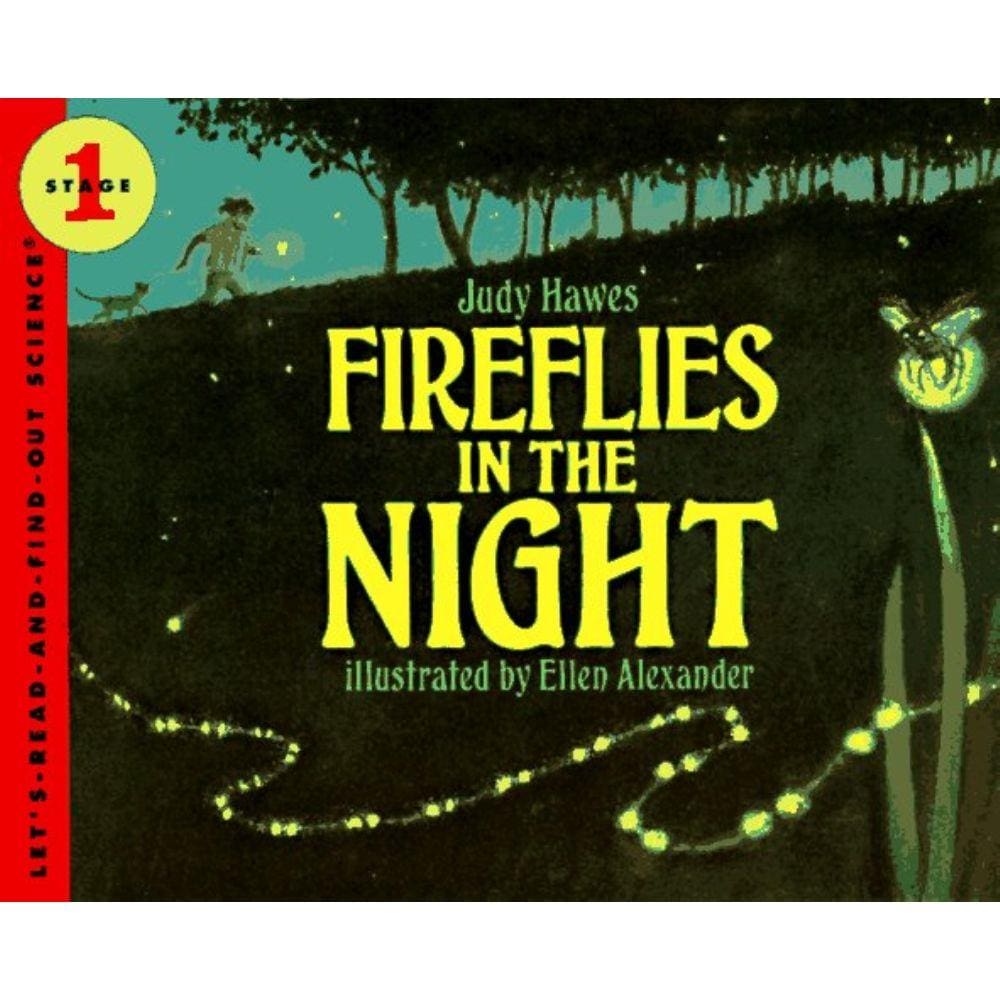 Fireflies In The Night
