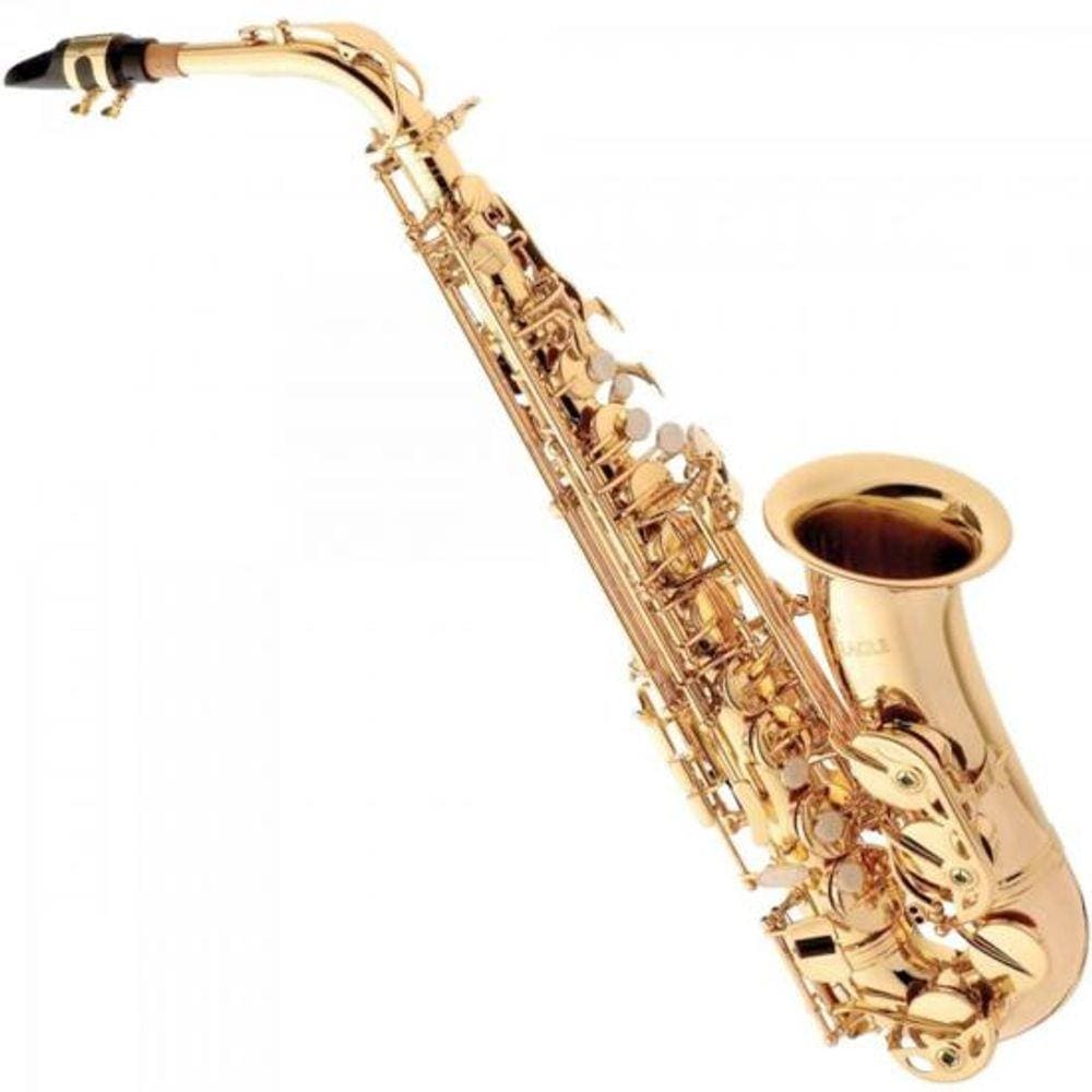 Saxofone Alto Dominante Dourado com Semicase