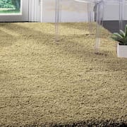 Tapete para Sala e Quarto Peludo Luxo Casa Dona 150x200cm