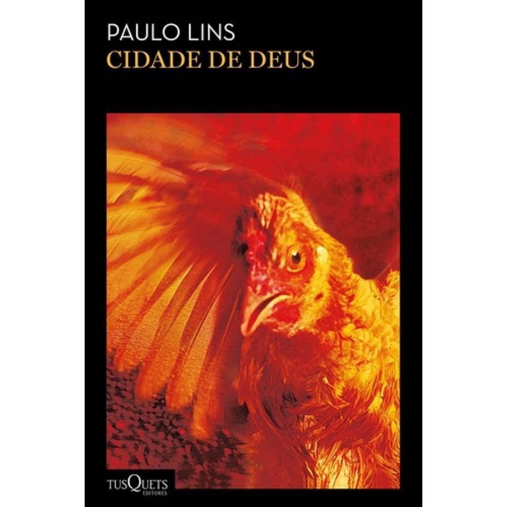 Livro - Cidade De Deus