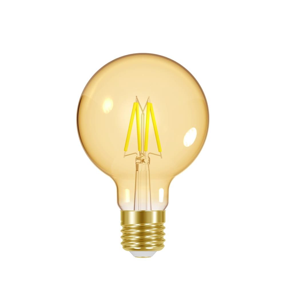 Lâmpada LED Taschibra Filamento Vintage Globo G80 Autovolt 4W - Âmbar