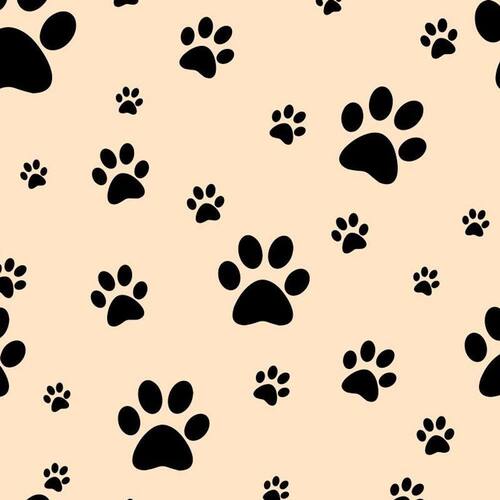 Papel De Parede Pet Animais Gato Cachorro Preto Branco 3m