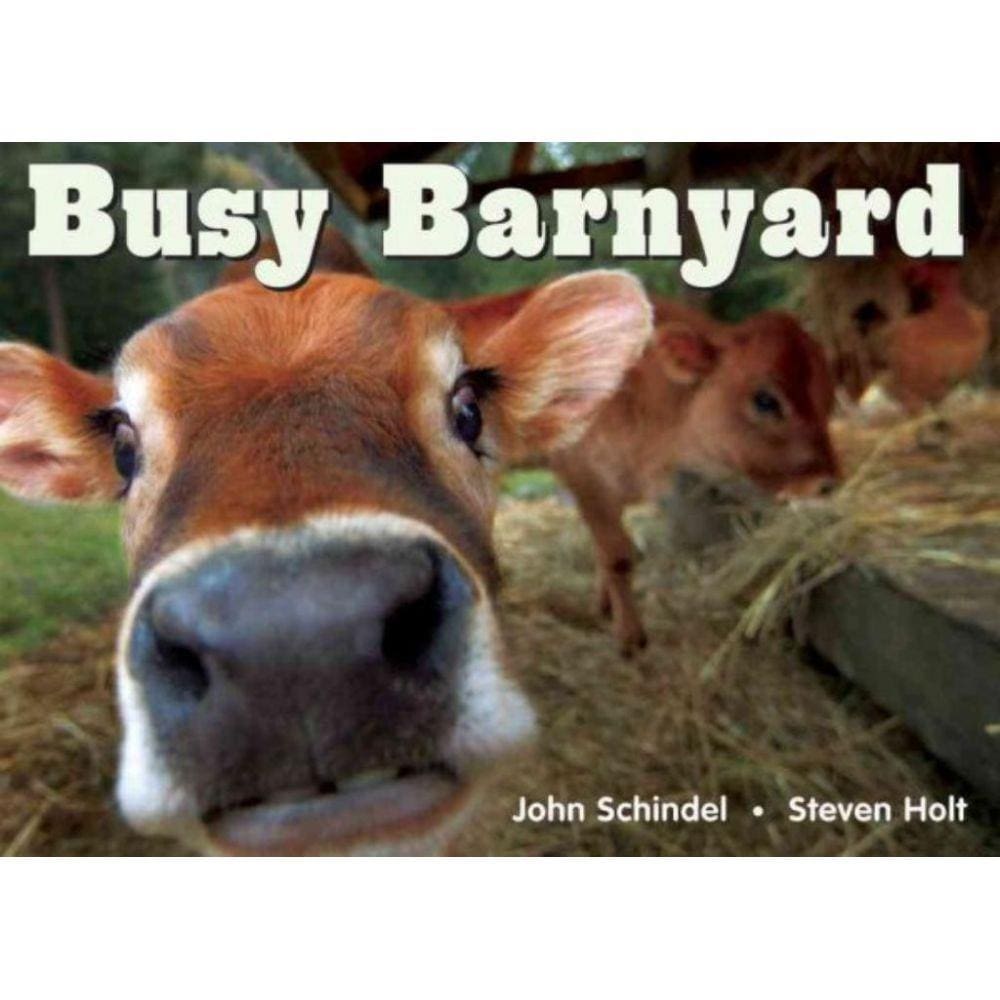 Livro - Busy Barnyard