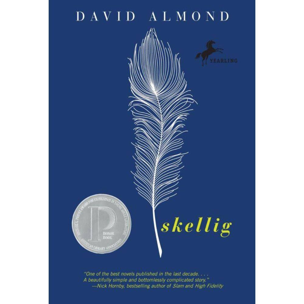 Livro - Skellig