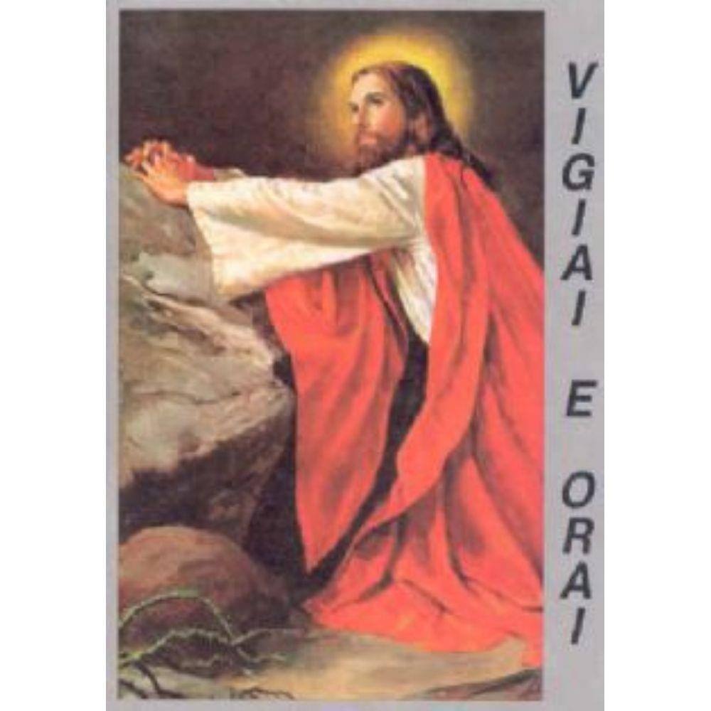 Livro - A Oração Que Deus Responde - Regis Castro & Maïsa Castro