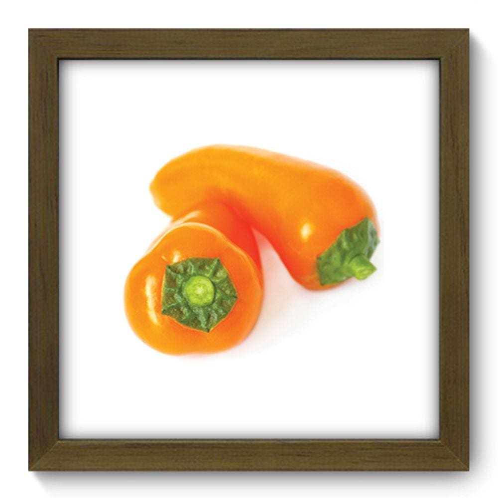 Quadro Decorativo - Pimentão - 22cm x 22cm - 111