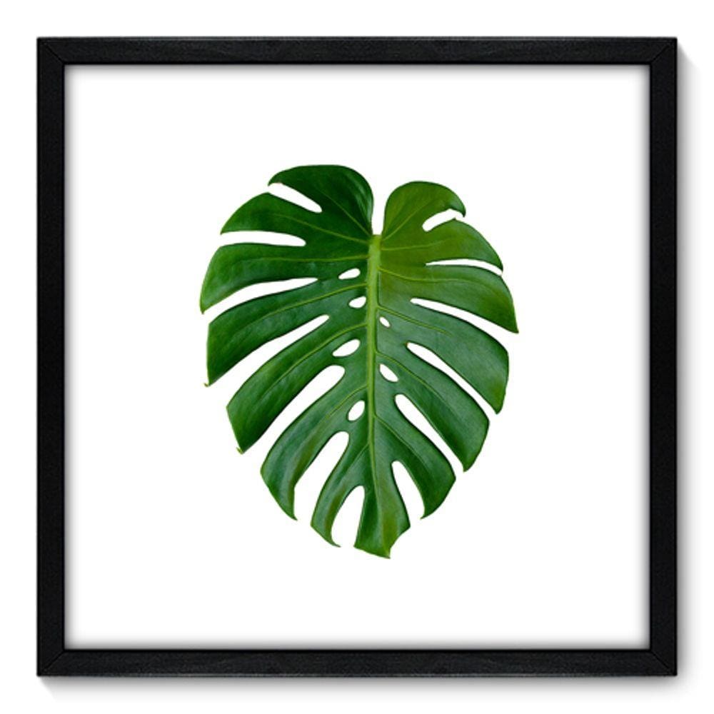 Quadro Decorativo - Costela de Adão - 50cm x 50cm - 073qndcp