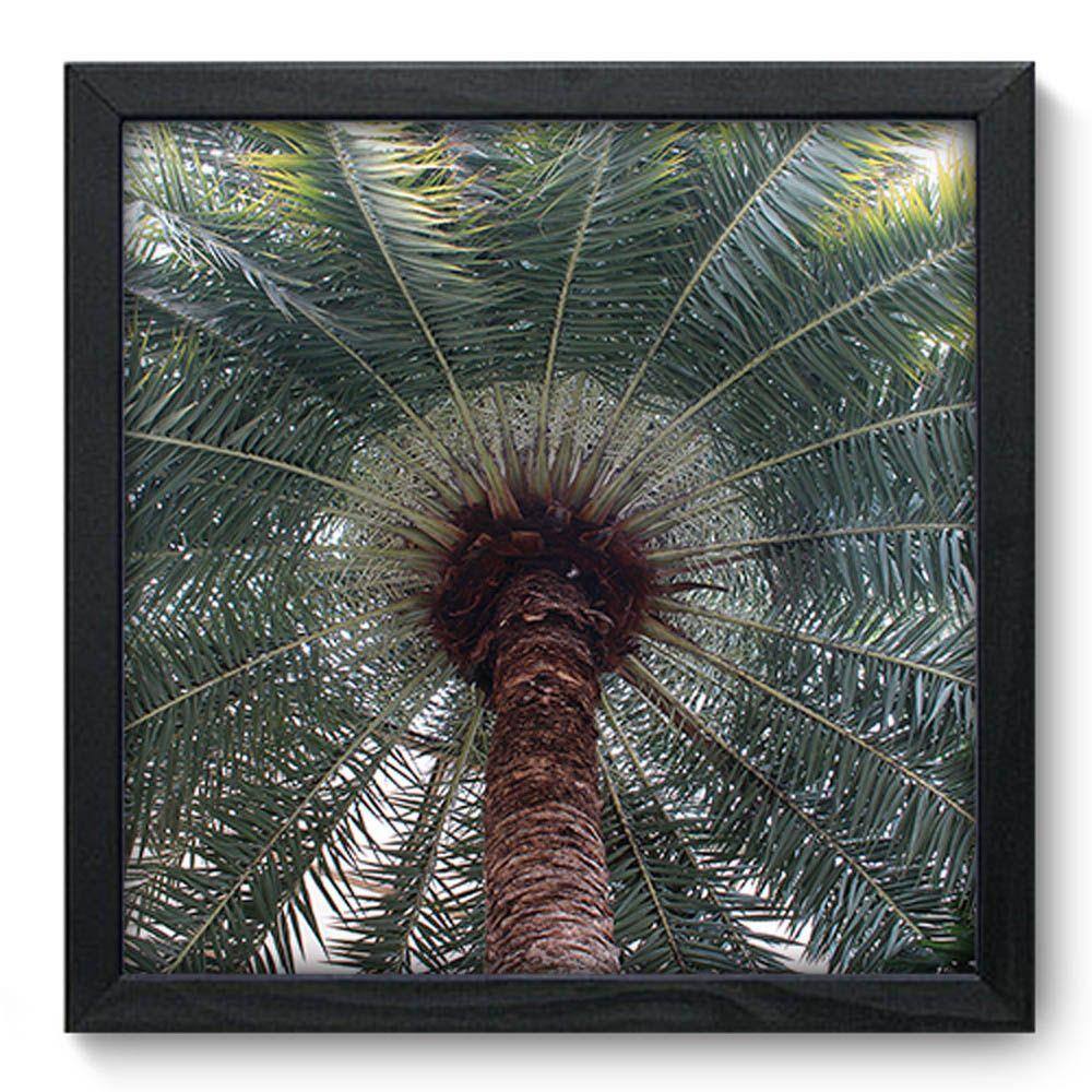 Quadro Decorativo - Coqueiro - 33cm x 33cm - 274