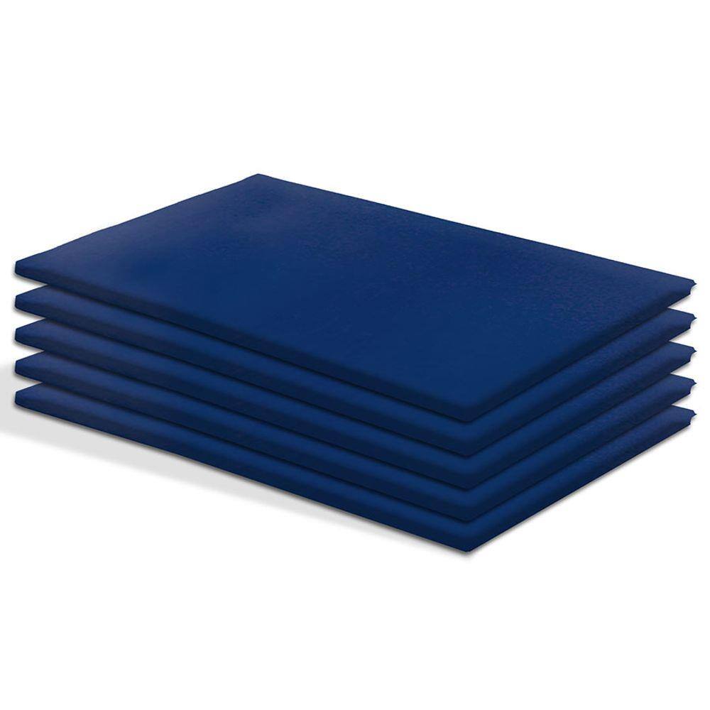 Kit 5 Colchonetes de Espuma para Academia e Ginastica em Corvin Azul - BF Colchões