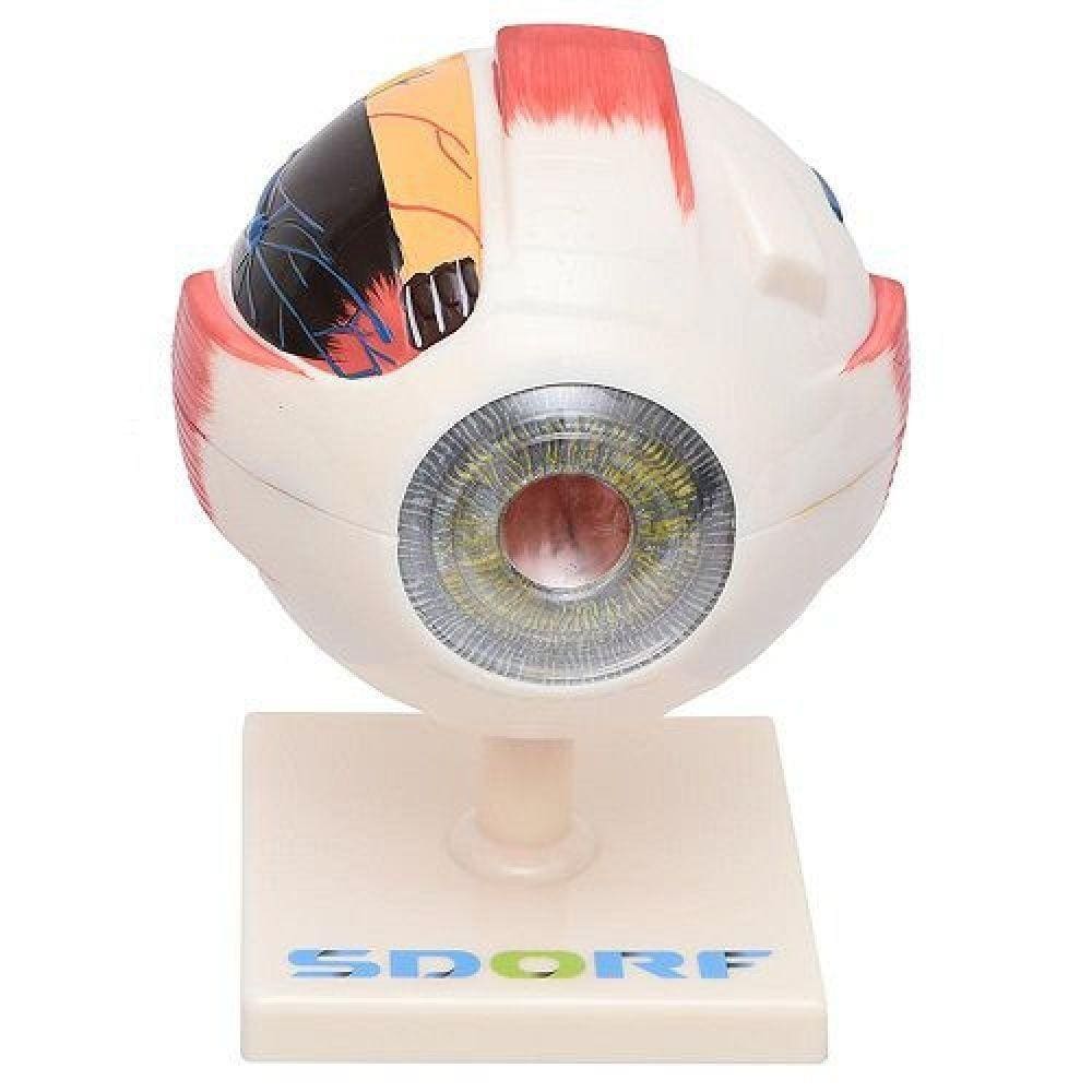 Olho Ampliado Desmontável Em 7 Pts Tam. 10x