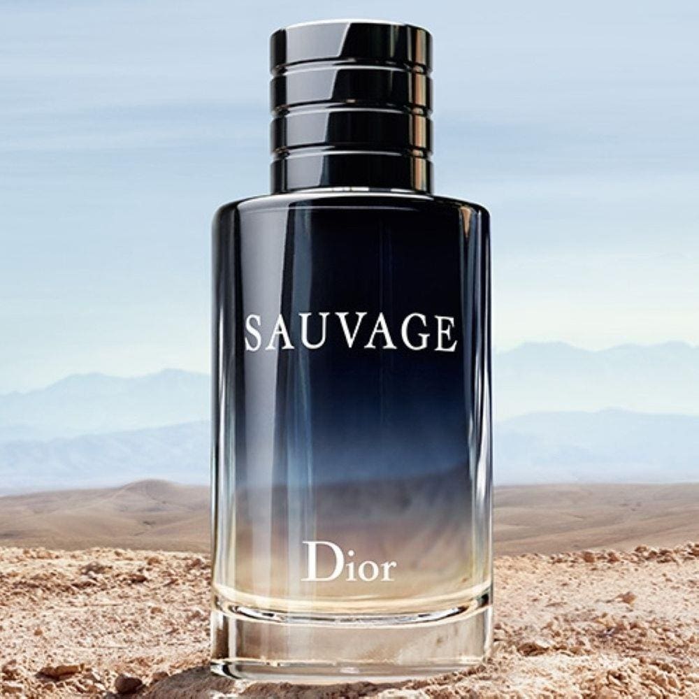 Sauvage Dior Masculino Eau De Toilette 100Ml | Extra