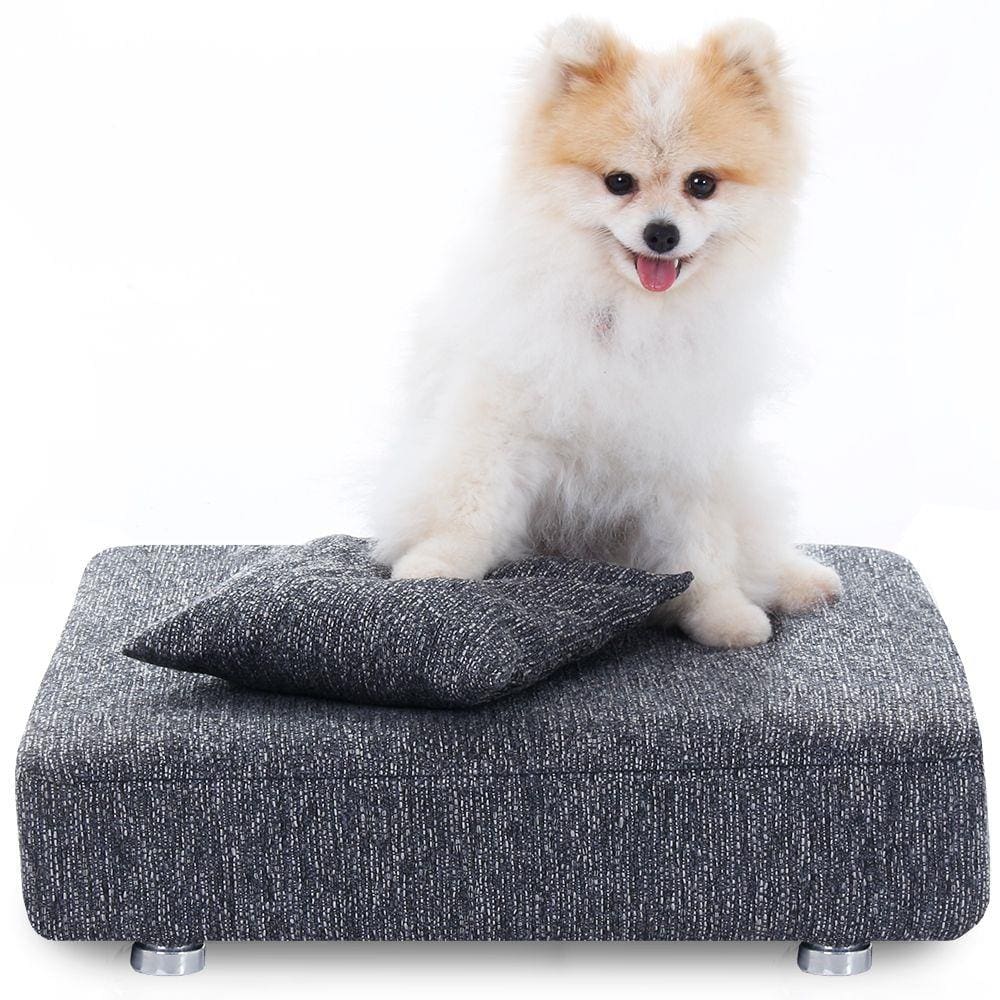 Cama Box Para Cachorro + Travesseiro - Caminha Pet - Bf Colchões