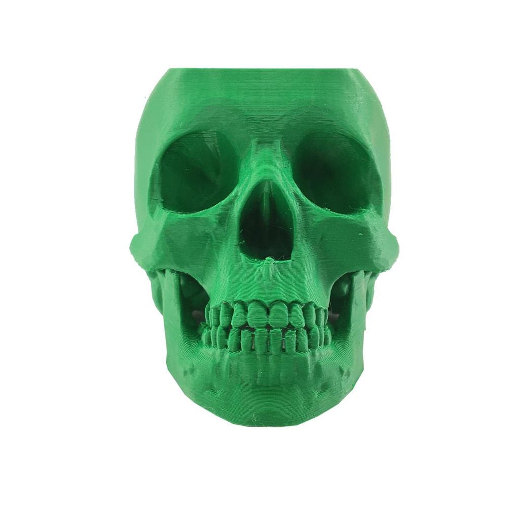 Caveira - Vaso Cactos ou Suculentas