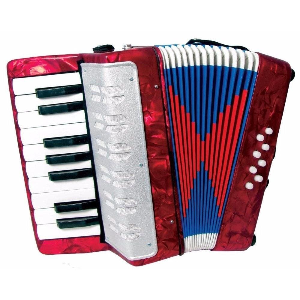 Sanfona acordeon infantil profissional 8 baixos grande