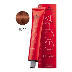 Igora Royal Tintura - 6.77 - LOURO ESCURO COBRE EXTR : : Beleza