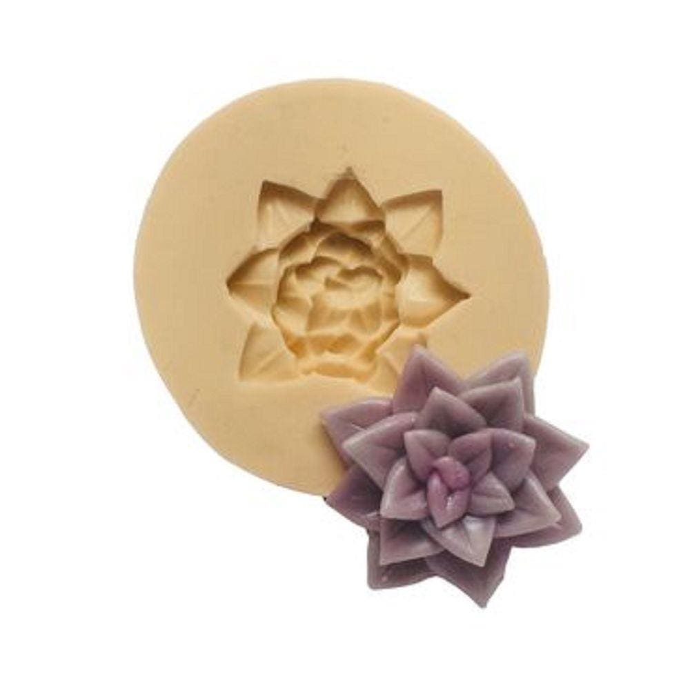 Molde De Silicone Suculenta