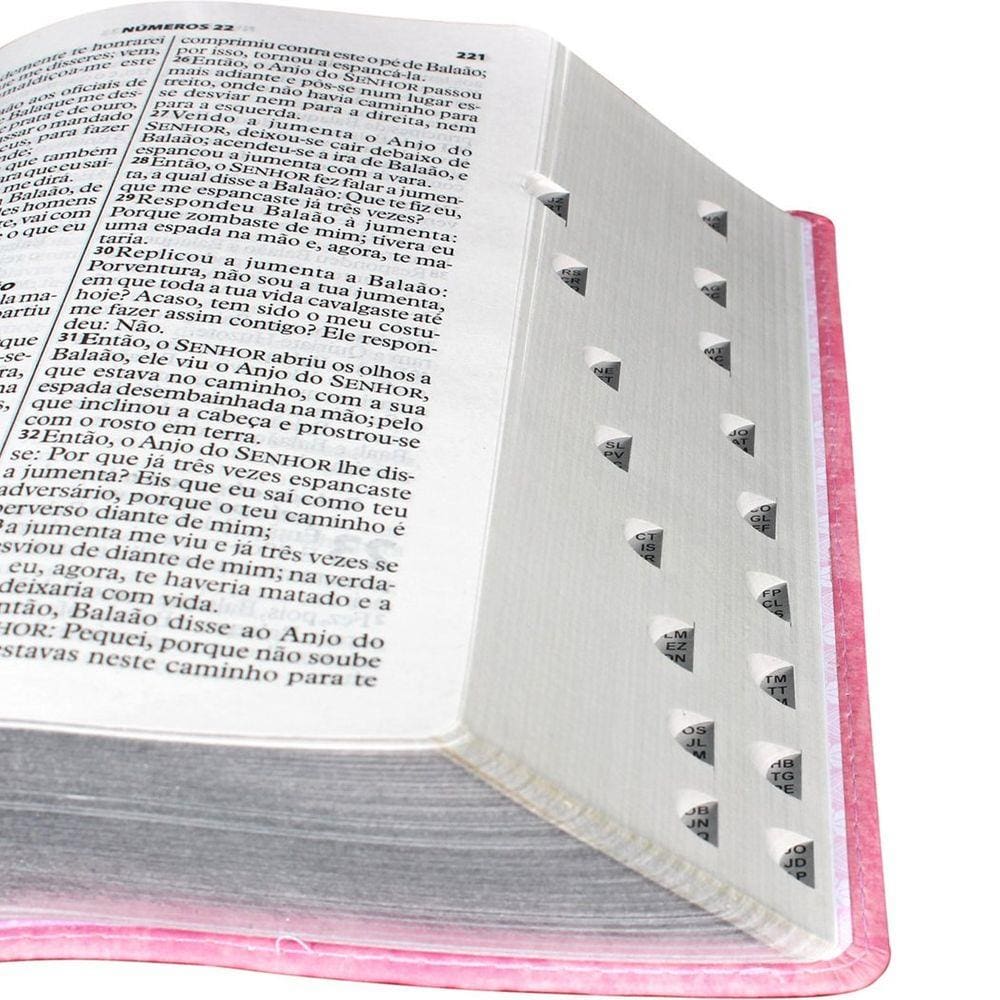 Biblia Letra Gigante  Ra Rosa Claro Sbb