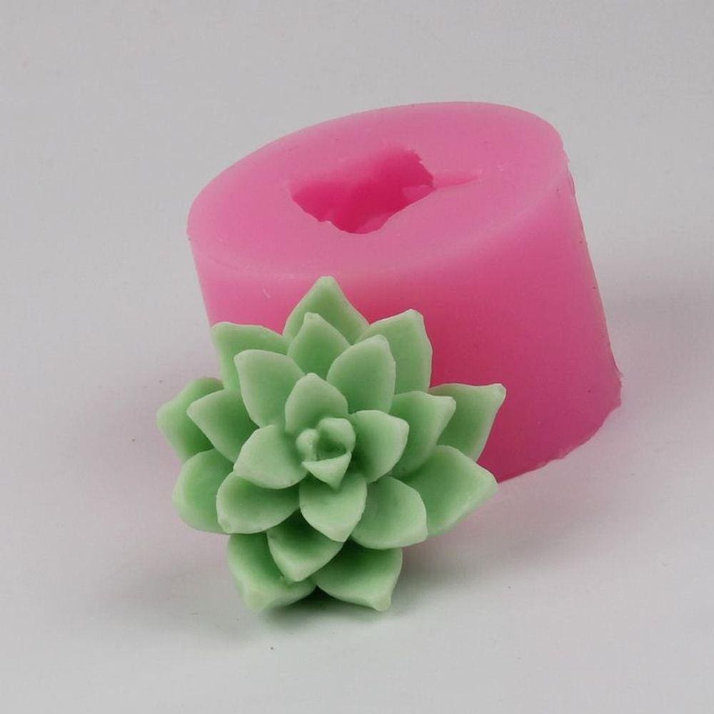 Molde De Silicone Cactos