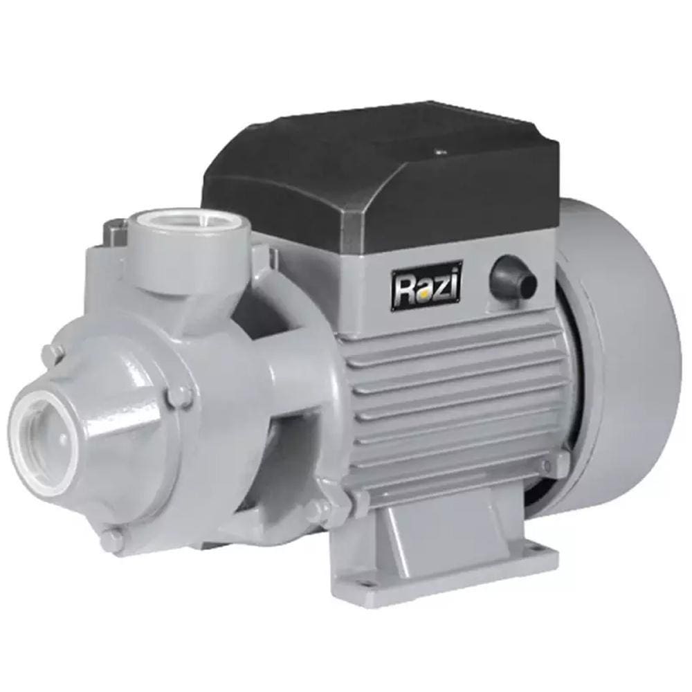 Bomba D'água Motobomba Periférica 0,5 CV 220V -  Razi