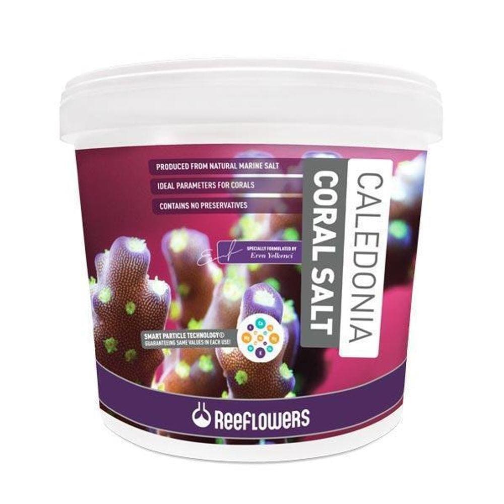 Sal Reeflowers Caledonia Coral Salt 6,5 Kg
