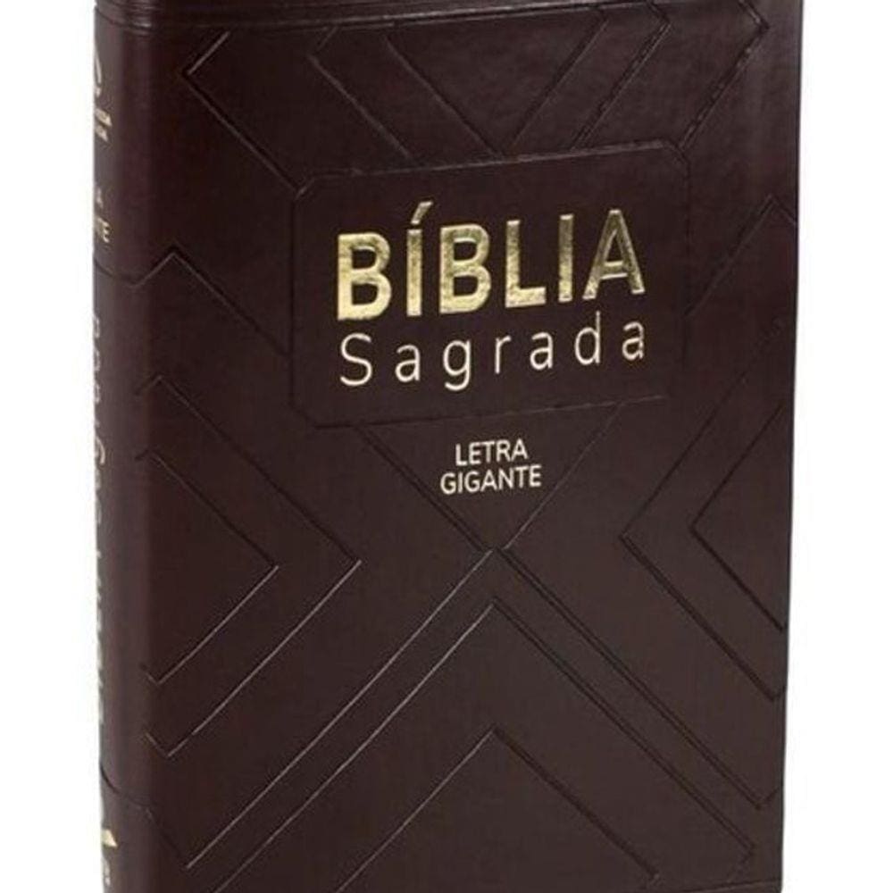 Livro Bíblia Sagrada - Naa - Marrom Com Índice - Média Lgig