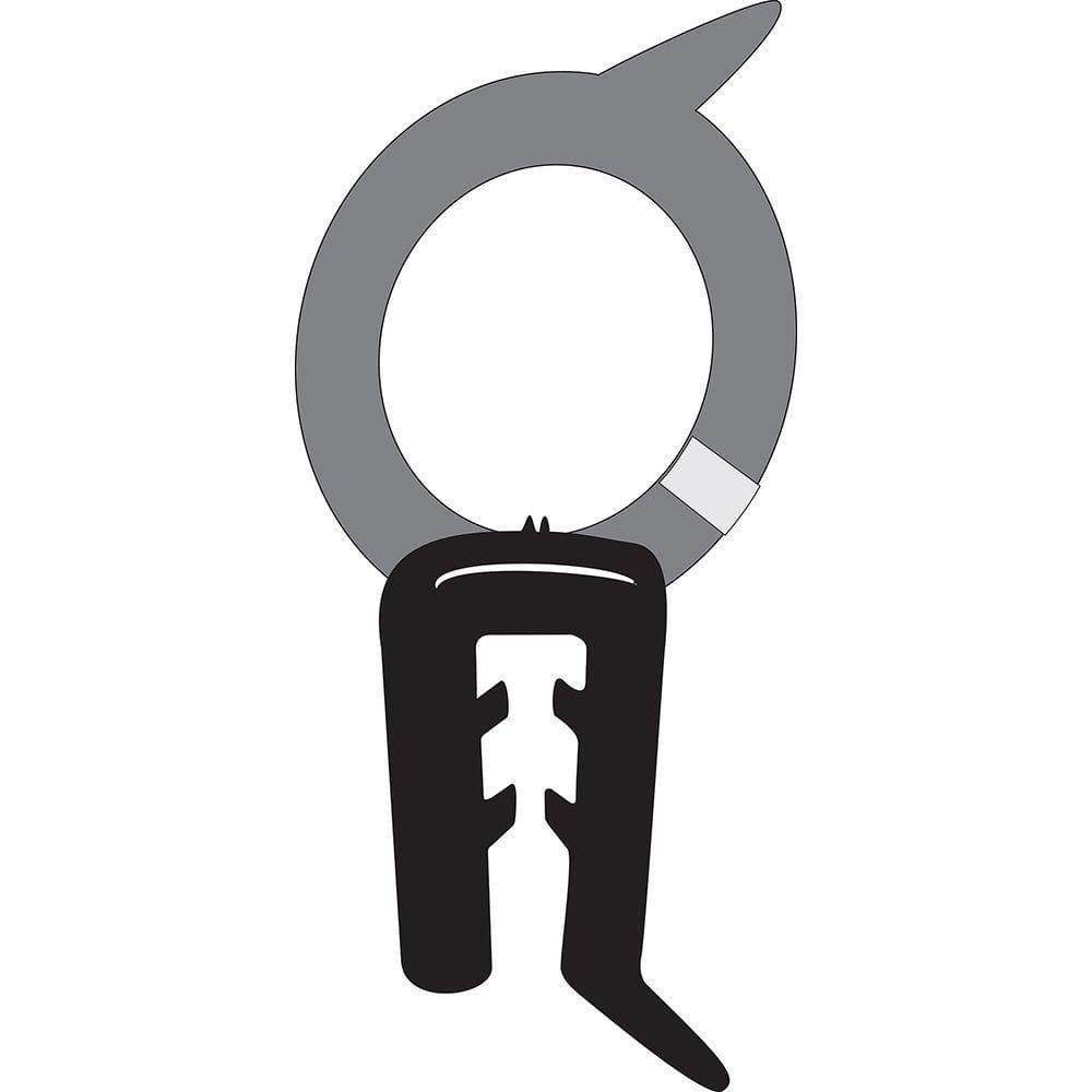 Borracha do Capô 147 Europa Oggi Palio Paronama Siena Spazio