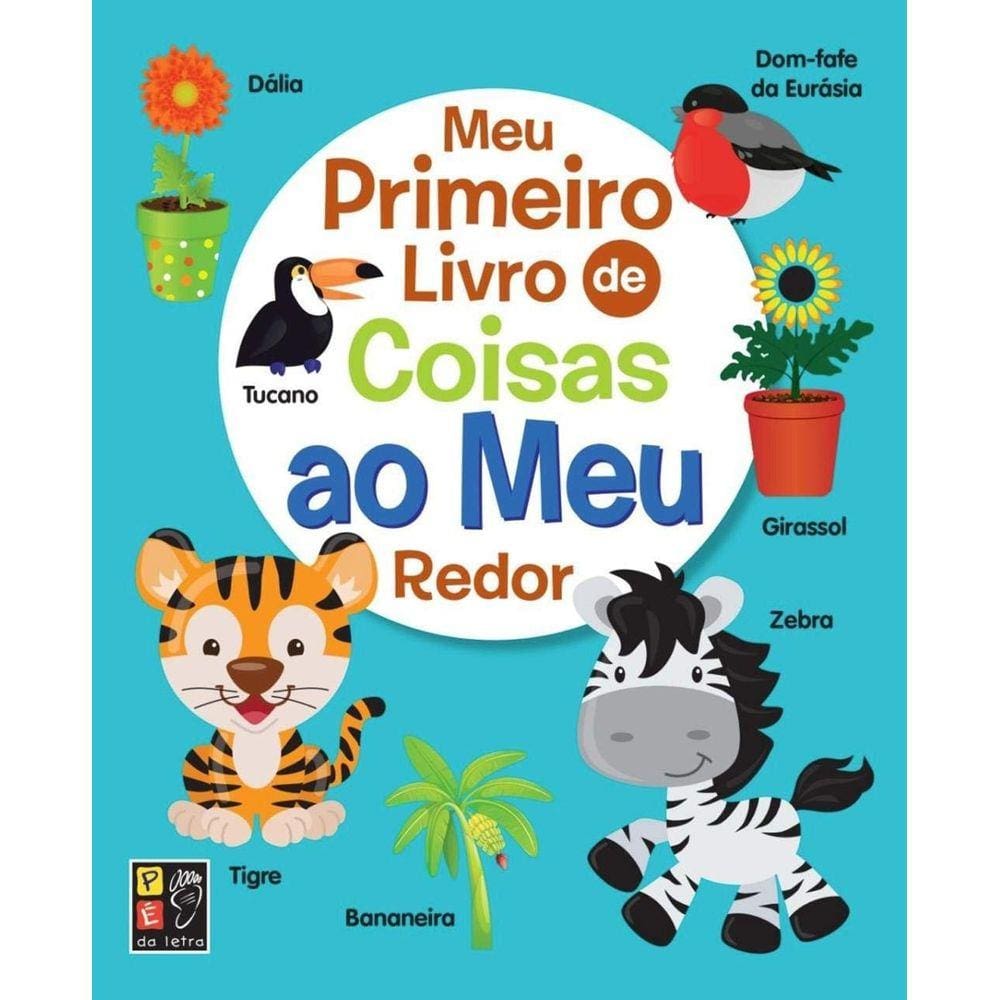 Livro Meu Primeiro Livro De Coisas Ao Meu Redor