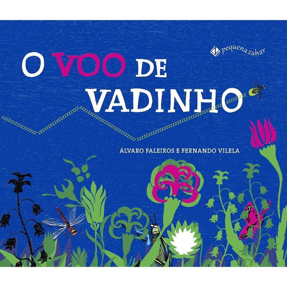 Voo De Vadinho, O