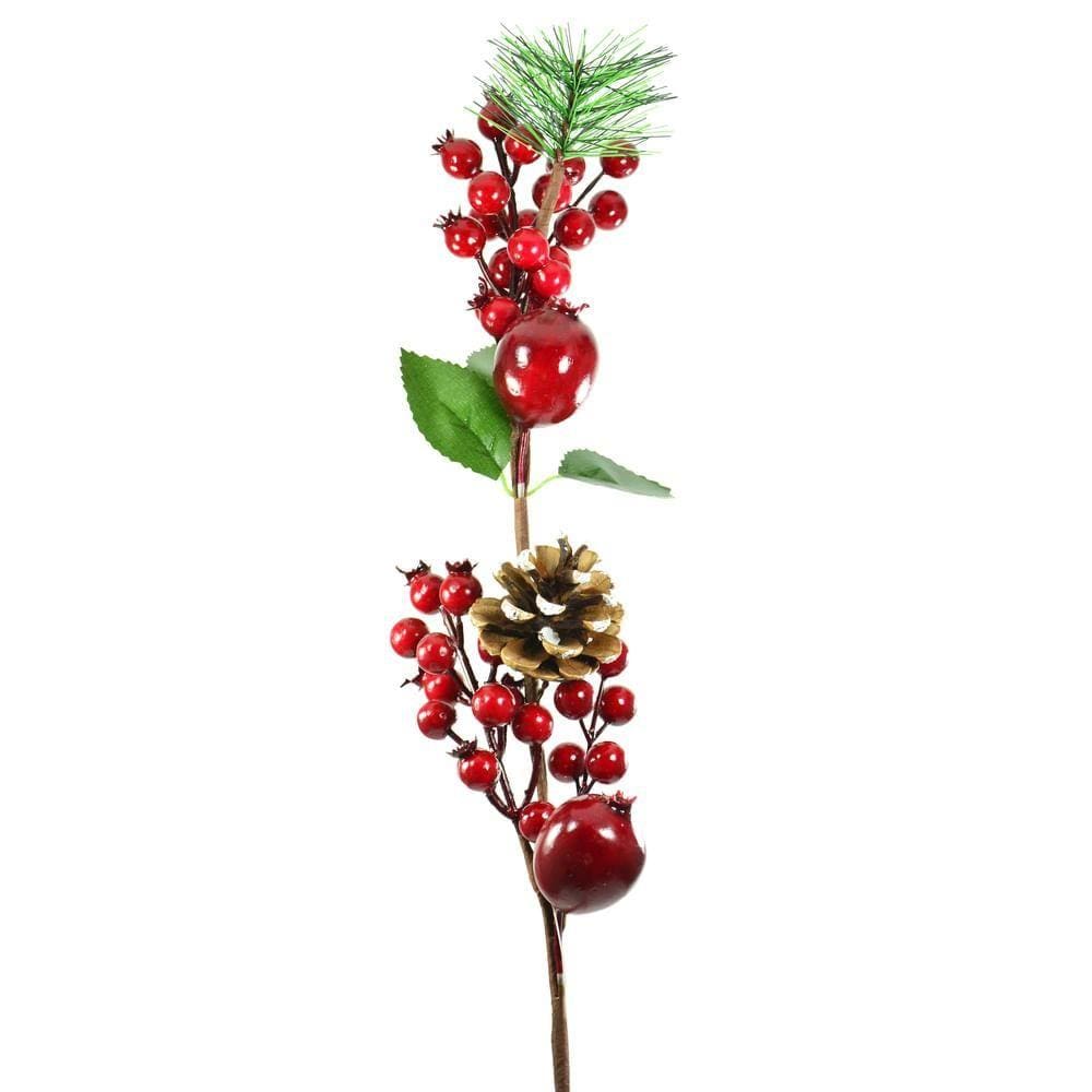 Galho Frutos NTA86072 - Rio de Ouro