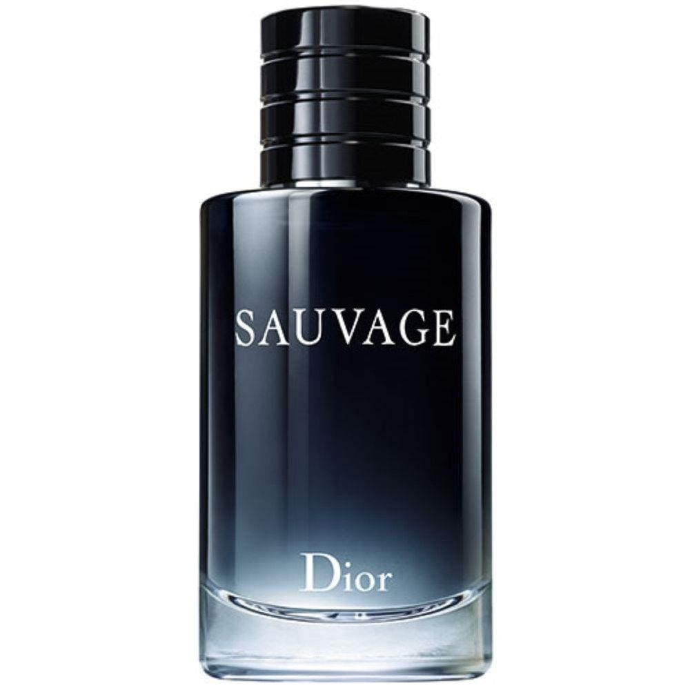 Sauvage Masculino Eau De Toilette 100Ml