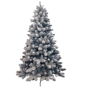 Arvore natal 3 00 | Extra Arvore natal 3 00 | Extra