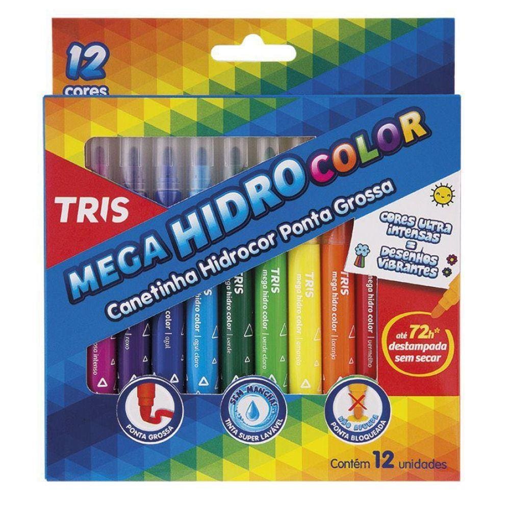 Canetinha Hidrocolor Ponta Grossa 12 Cores Tris Jumbo Para Pintar