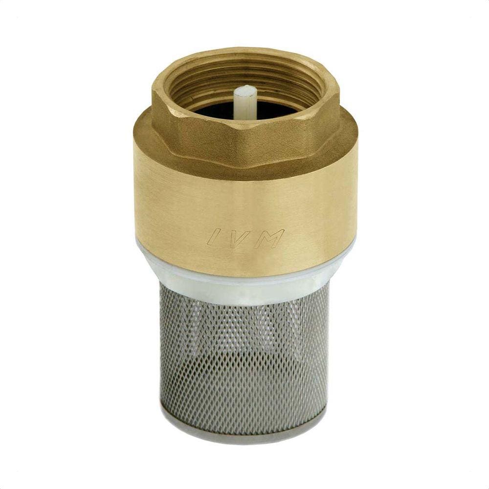 Válvula De Retenção Sucção De 1.1/4 Filtro Inox Ivm Italy