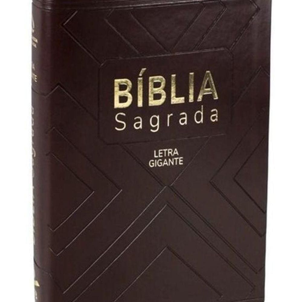 Livro Bíblia Sagrada - Naa - Marrom Com Índice - Média Lgig