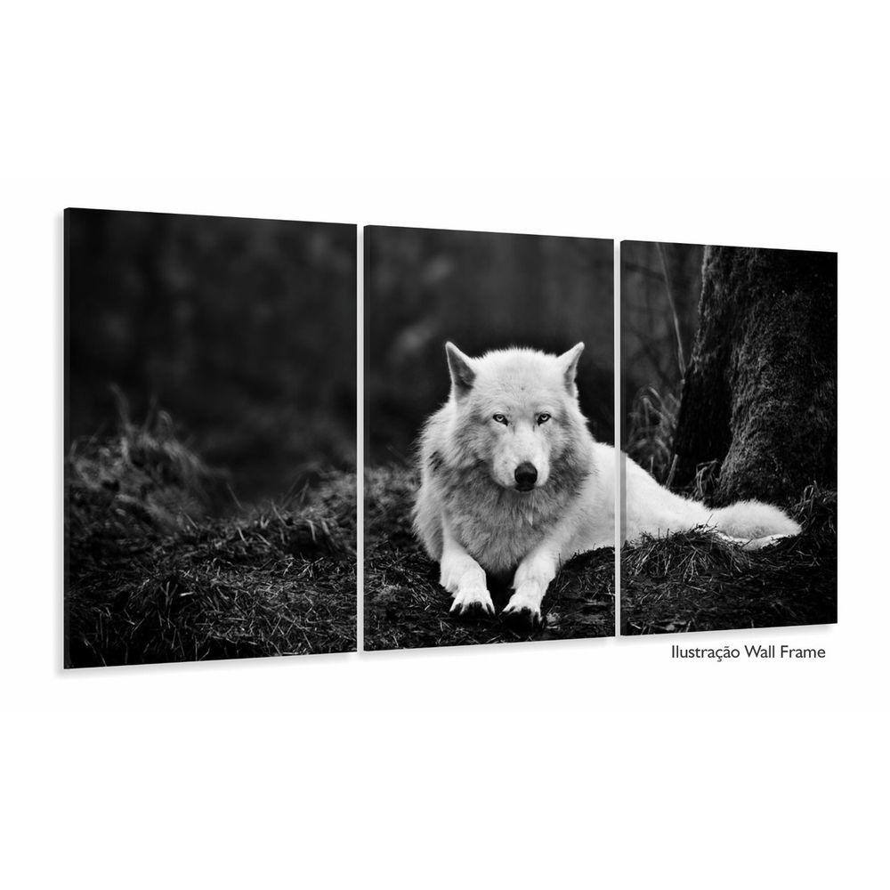 Quadros Decorativos Lobo Branco 120x60 3 peças em Tecido