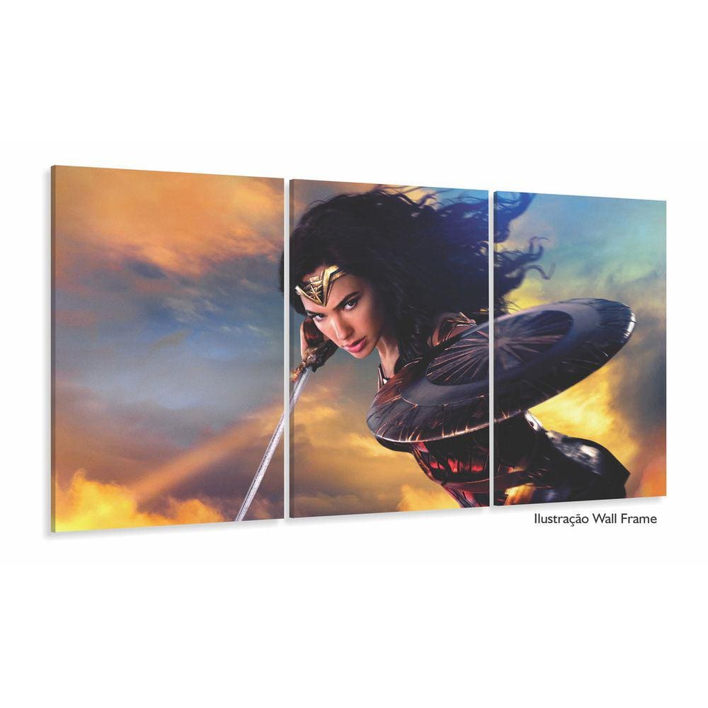 Quadro Decorativo Mulher Maravilha - Heróis - Tela Em Tecido