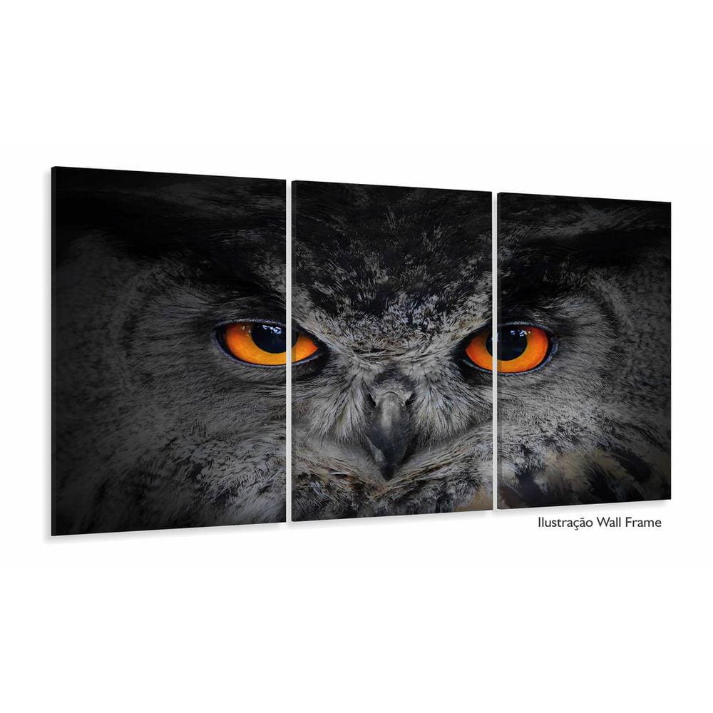 Quadro Decorativo Coruja 3 partes 120x60 em tecido