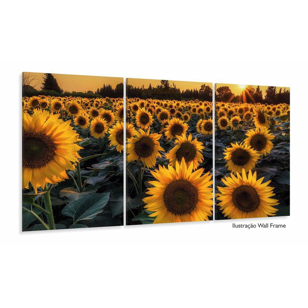 Quadro Decorativo Campo de Girasol 3 pçs 120x60