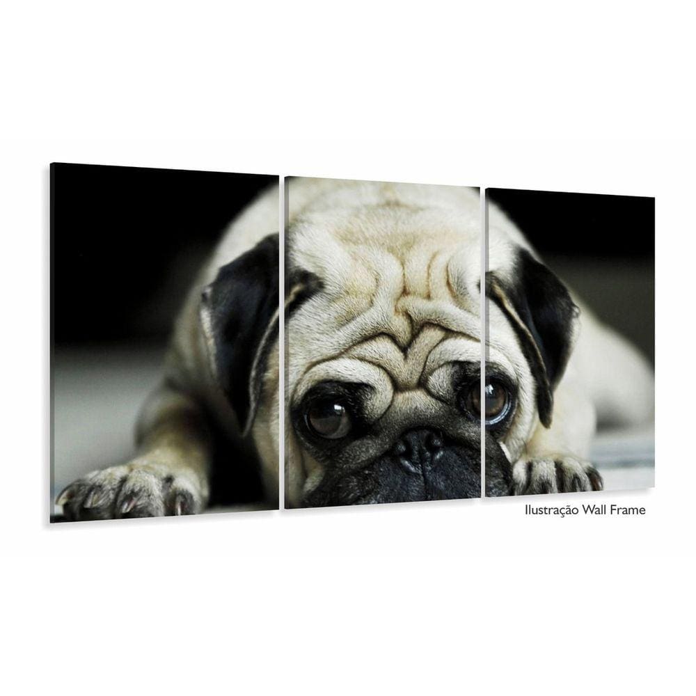 Quadro Decorativo Pug Cachorro Com Tela De Tecido 3 peças