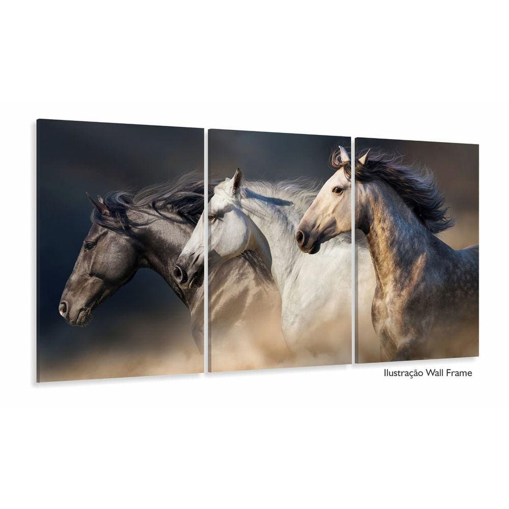 Quadros Decorativos 3 Cavalos 3 Peças 120x60 cm