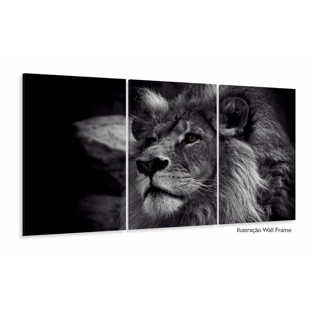 Quadros Decorativos Leão Preto E Branco 120x60 3 peças