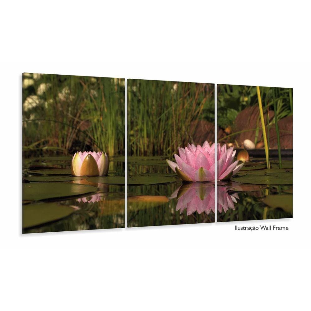 Quadro Decorativo Flores Paisagens Natureza 120x60