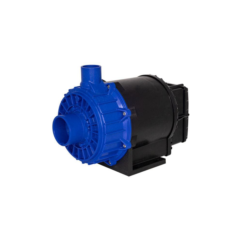 Bomba Alta Vazão Syllent Aqquant 1,5 CV 220V