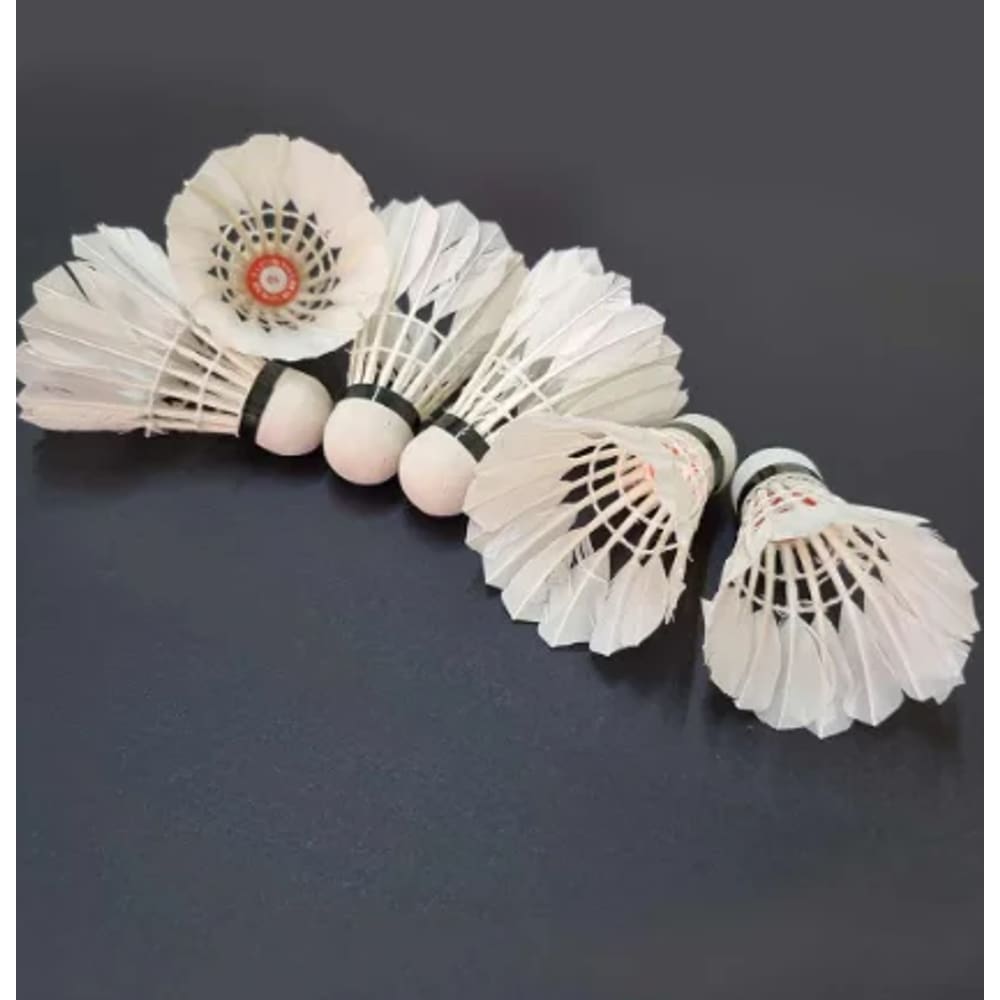 Tubo c/ 6 Petecas de Badminton