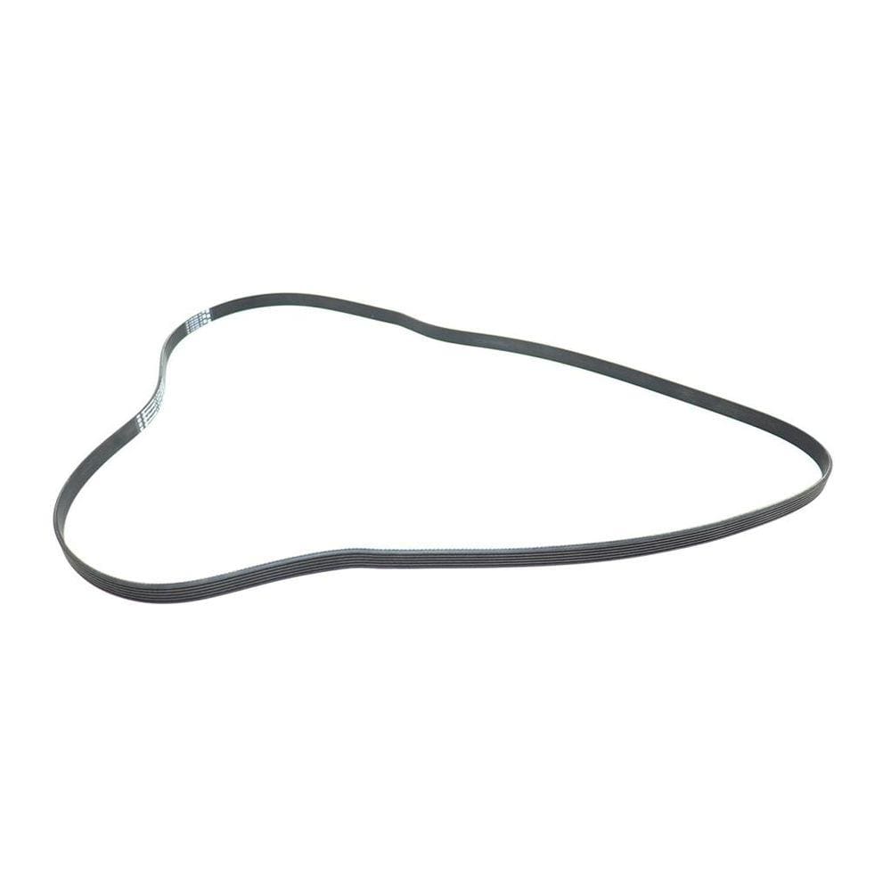 Correia Poly Focus 1.8 8v 16v 2.0 16v De 2000 A 2008