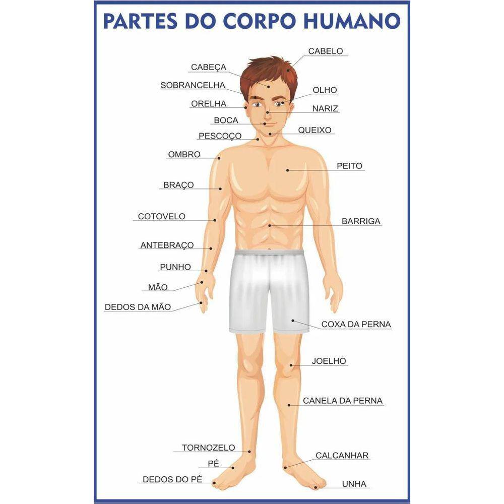 Morfologia Do Corpo Humano 02 Ed Revinter | Extra