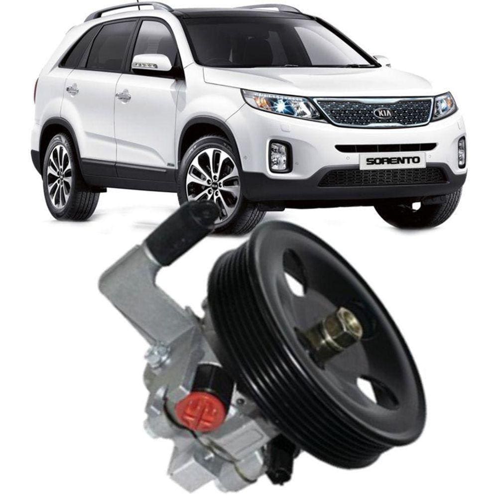 Bomba De Direção Hidráulica Sorento 2.4 16V De 2010 À 2015