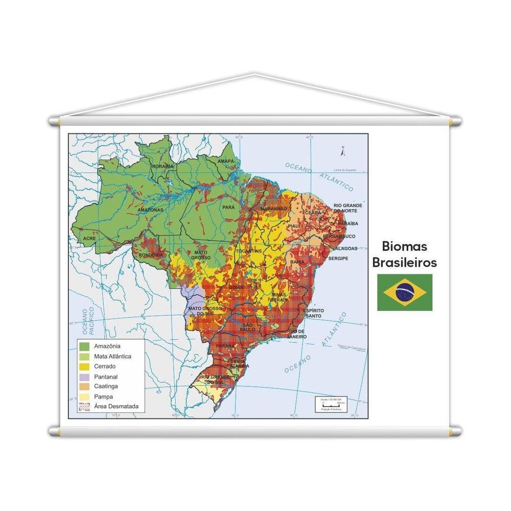 Banner Mapa Escolar Biomas Brasileiros Geografia 100X80Cm