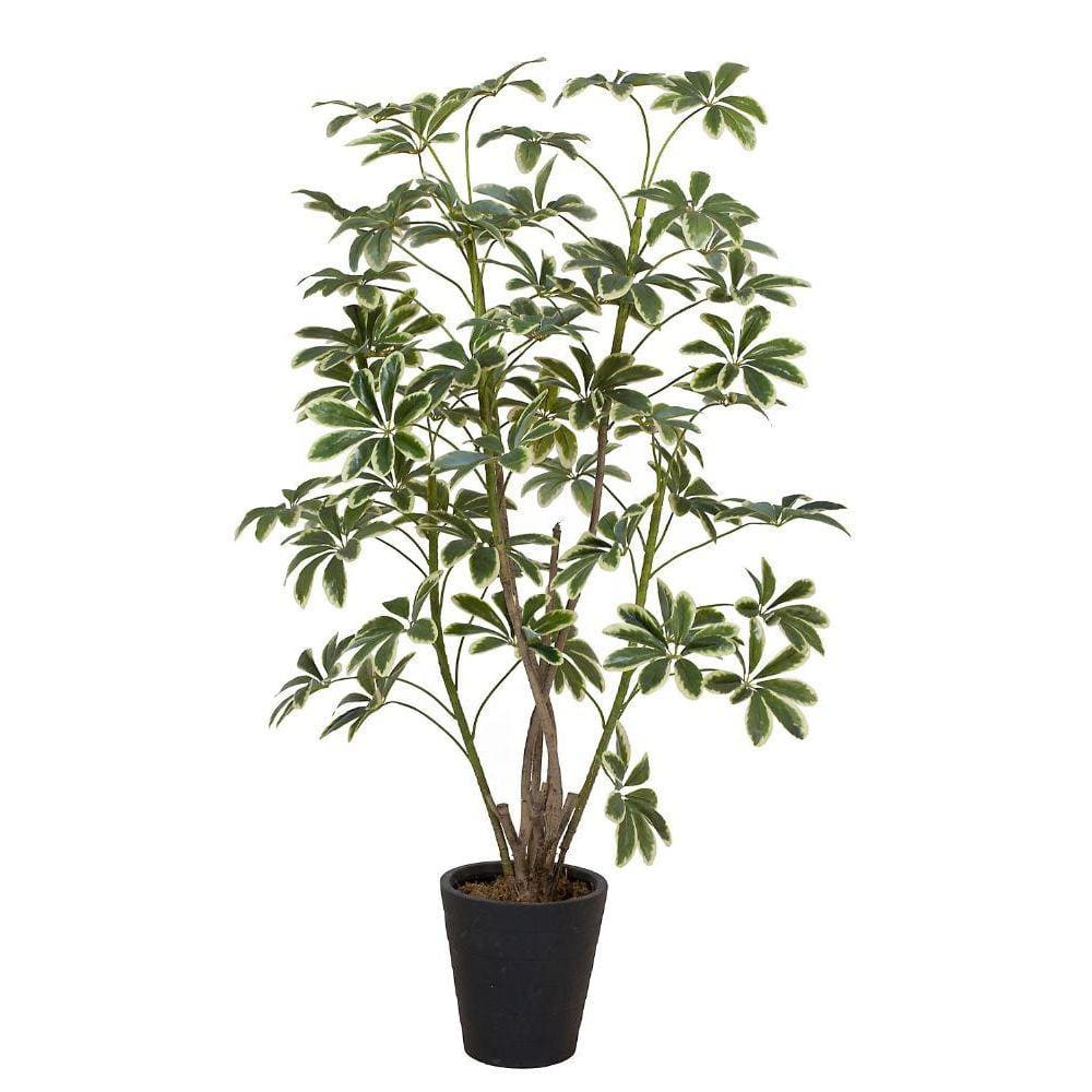 Planta Artificial Schefflera Just Home Collection